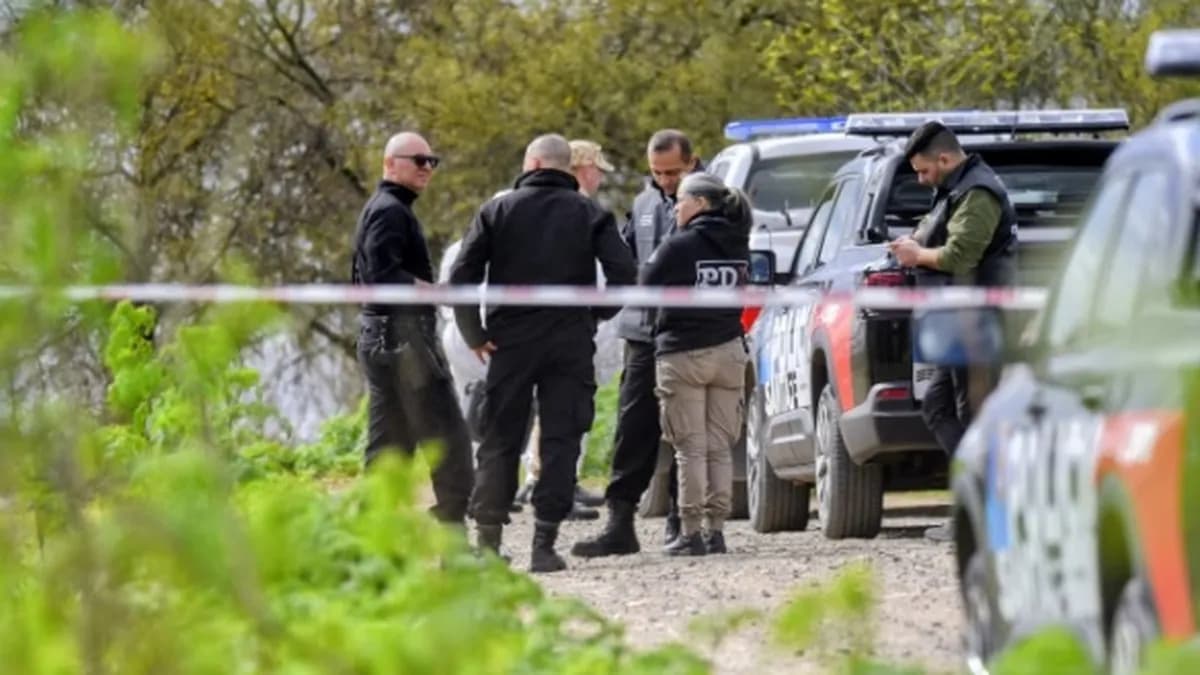 Femicidio seguido de suicidio: nueva hipótesis sobre los cadáveres hallados en un auto quemado - imagen de origen