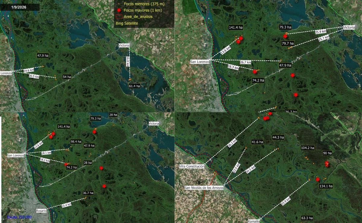 Humo y alerta: más de 1.300 hectáreas quemadas en las islas frente a Rosario - imagen de origen