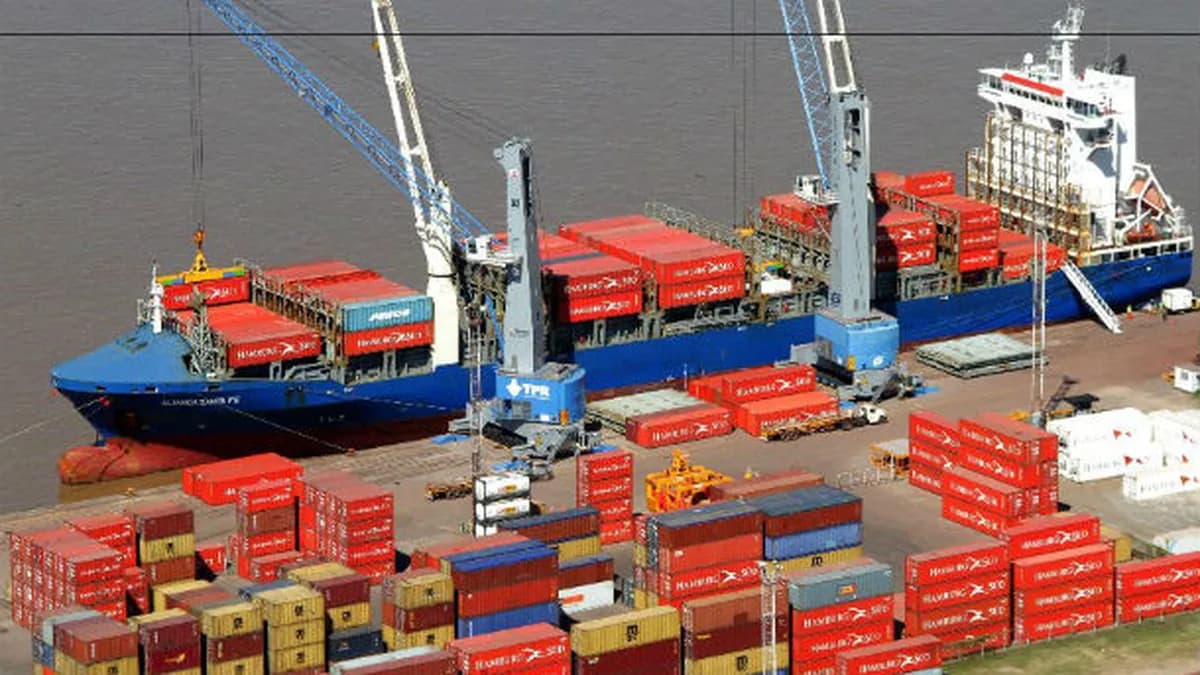 ¿Cómo será la obra del puerto de Rosario que promete cambiarle la operatividad? - imagen de origen