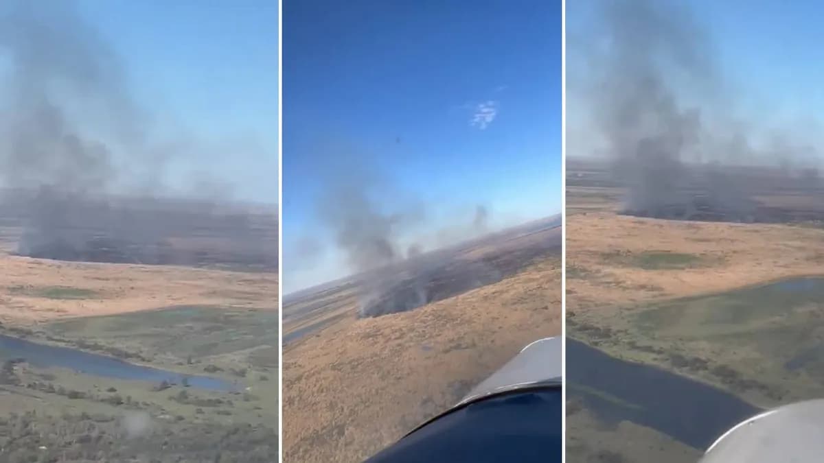 Incendios en las islas: en cuatro días se consumieron más de 1.700 hectáreas - imagen de origen