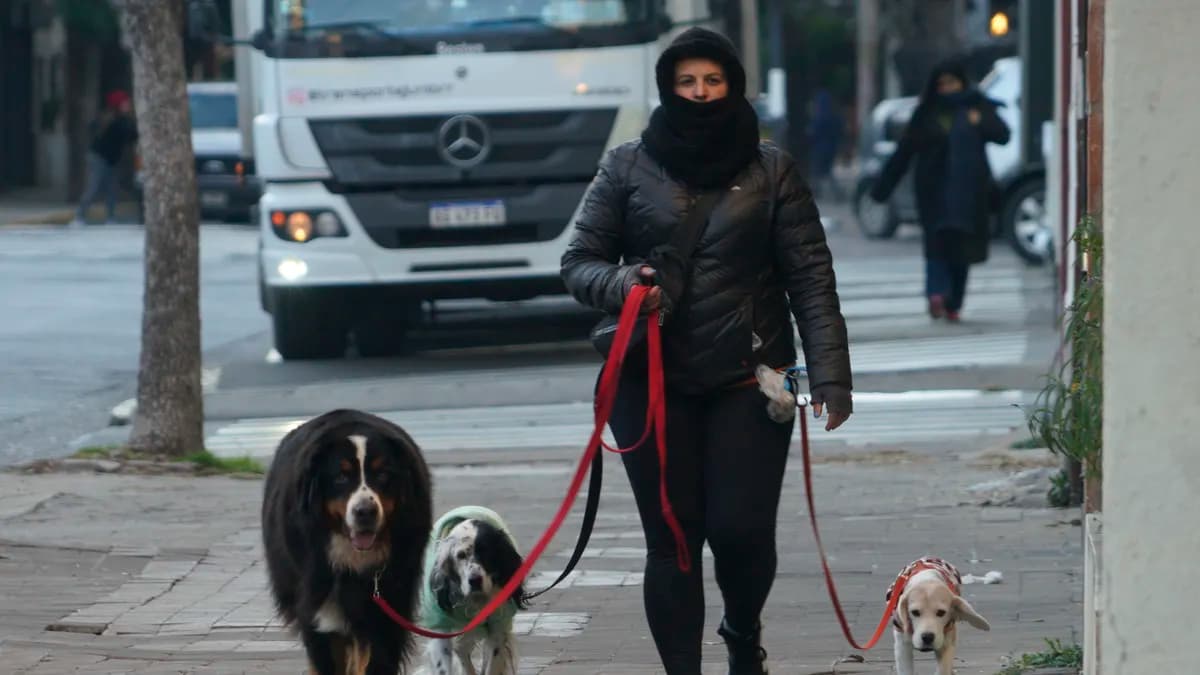 El tiempo en Rosario: el invierno no se quiere ir y se viene un nuevo descenso de las temperaturas - imagen de origen