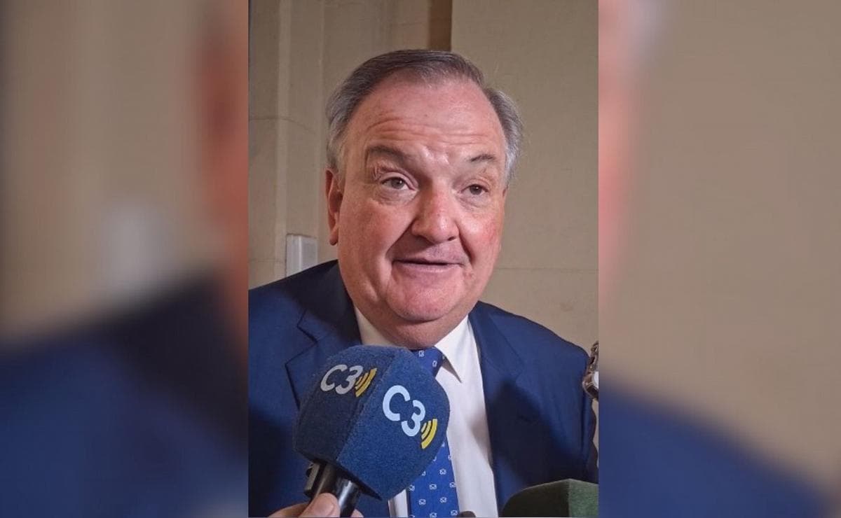 Michlig defendió la ley contra los discursos de odio y advirtió sobre "el negocio de la grieta" - imagen de origen