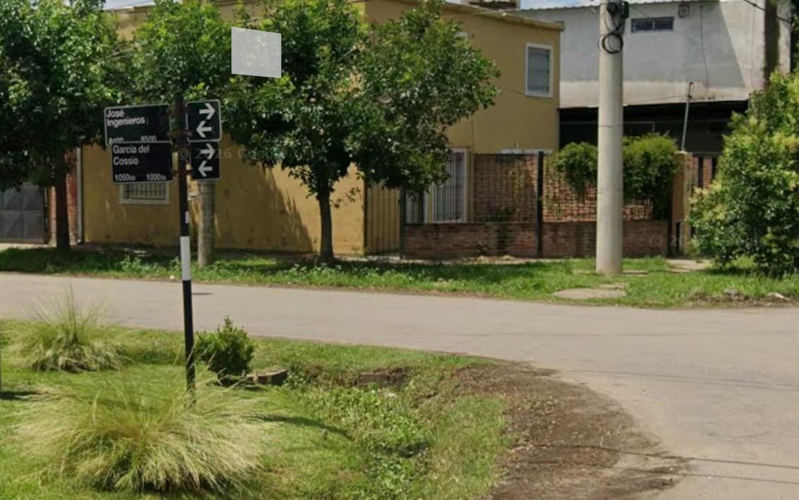 Hallaron muerto a un perro y sospechan de un disparo - imagen de origen