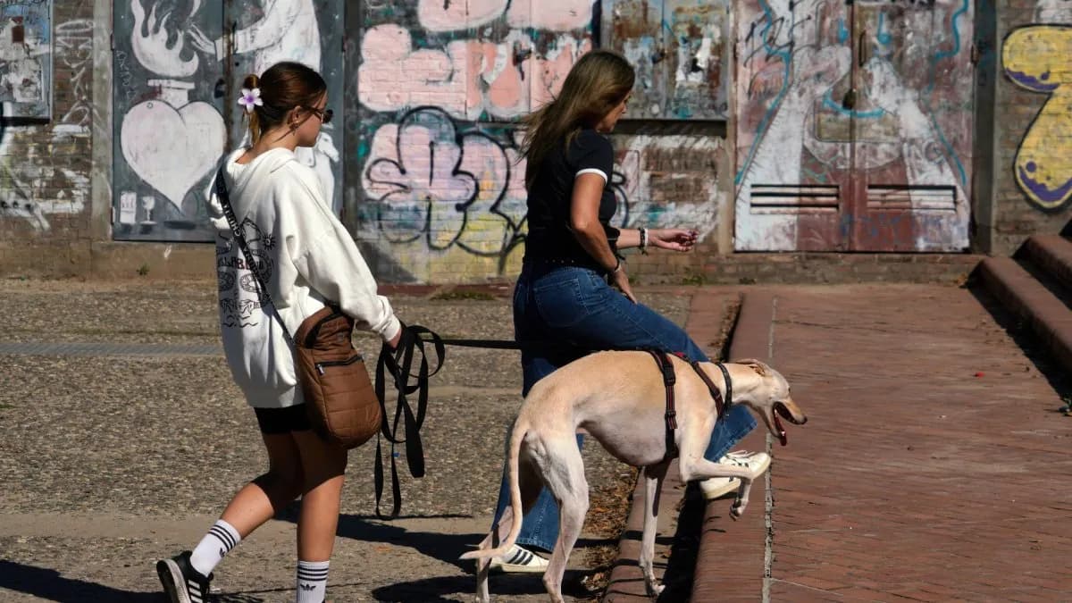 El tiempo en Rosario: martes con sol y la máxima en ascenso - imagen de origen
