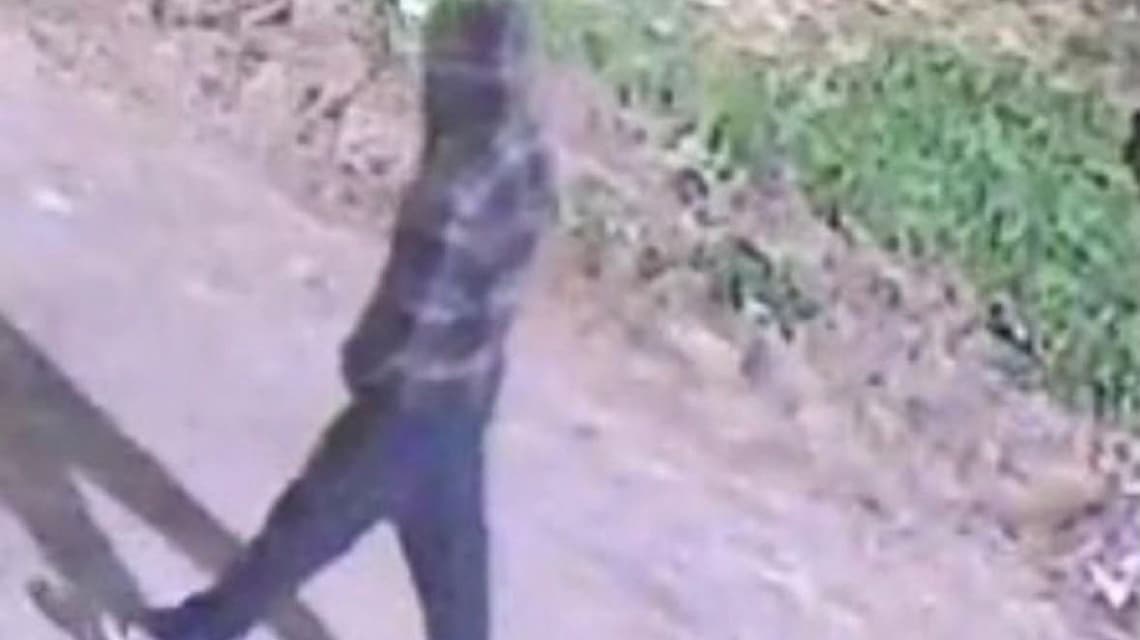 San Lorenzo: Lince permitió la primera detención tras el seguimiento por cámaras de un robo - imagen de origen