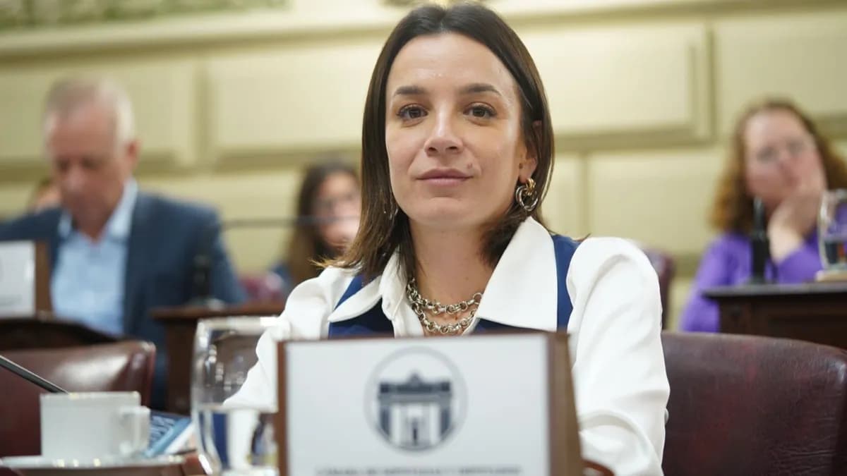 Lucila De Ponti presentó un proyecto para asistir a familias endeudadas - imagen de origen