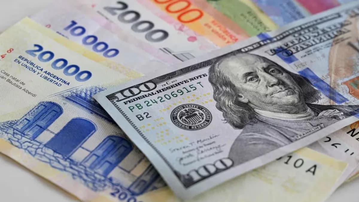 "Sobran dólares y faltan pesos": el diagnóstico del gurú rosarino del blue sobre el mercado cambiario - imagen de origen